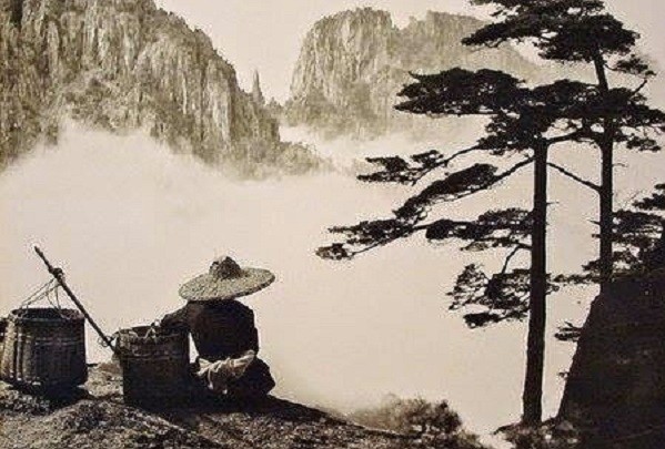 Đời người là một loại lựa chọn, cũng là một loại buông bỏ